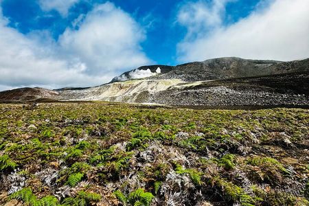 Half-Day Hiking Tour to Sulfur Fumaroles on Isabela Island