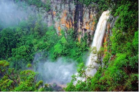 Springbrook Waterfalls & Natural Bridge Tour from Gold Coast