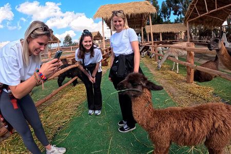 One-Day Inca Trail Hike to Machu Picchu from Cusco