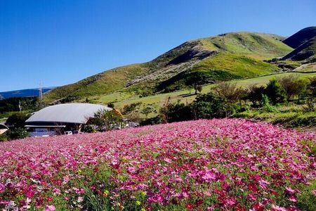 Kumamoto : Iconic Statues World of Pirates Adventure Tour