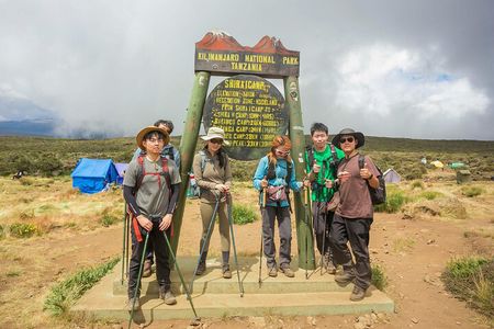 Climb Kilimanjaro in 8 Days via Lemosho Route