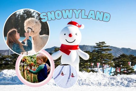 Snowyland, Strawberry Picking & Alpaca World