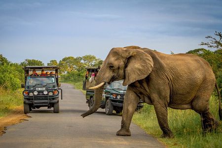 Full Day Safari Tour in Hluhluwe Imfolozi Park