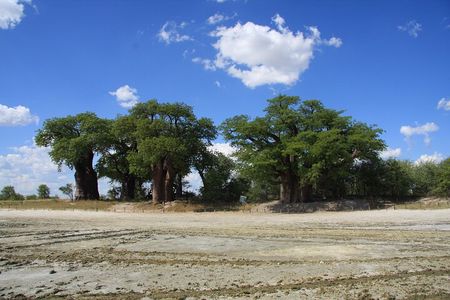 4 Day All Inclusive Tour to Boteti, Delta and Pans