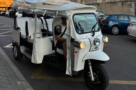 2 Hour Private Panoramic Tuk Tuk Tour