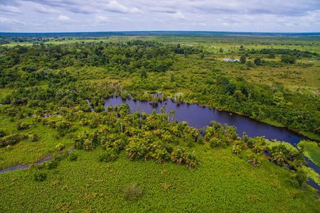 Caño Blanco Nature Sanctuary by Boat