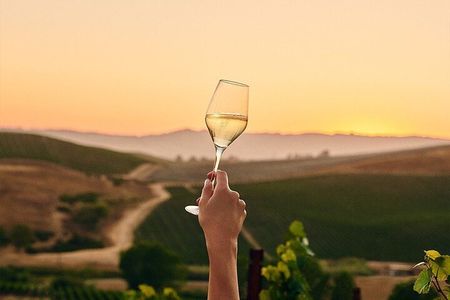 Wine Icons Tour in the Sparkling World of Chandon