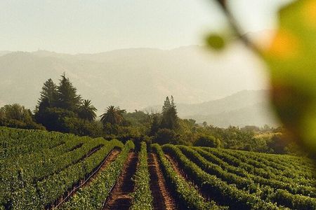 Wine Icons Tour in the Sparkling World of Chandon