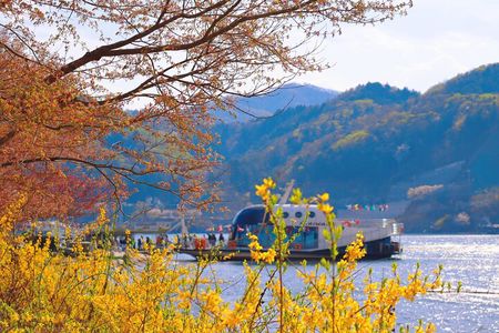 Day Trip to Nami Island with Rail bike and The Garden of Morning Calm