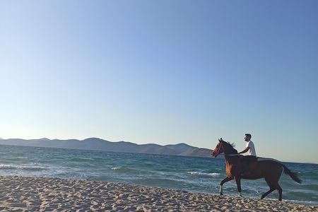 Horse Riding Experience on the Beach with Instructor