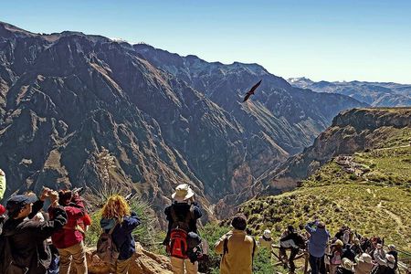 Package 2 days Puno Colca Arequipa Canyon