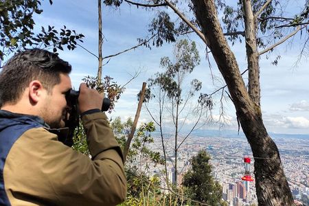 Birdwatching at Monserrate Bogotá 4H