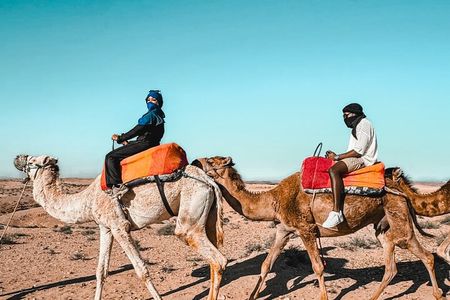 Marrakech Camel Ride and Traditional Dinner in Agafay Desert