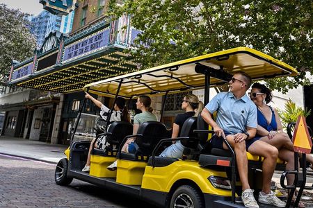Locally-Guided Tampa Sightseeing Tour in Street-Legal Golf Cart