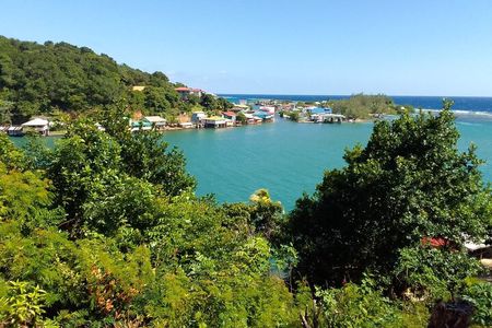 Sloths and Monkeys Roatan Island and Beach Break Private