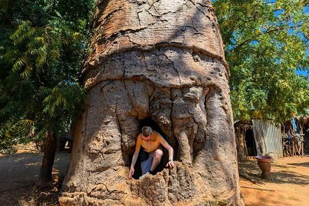 Baobab Tour in Morondava 