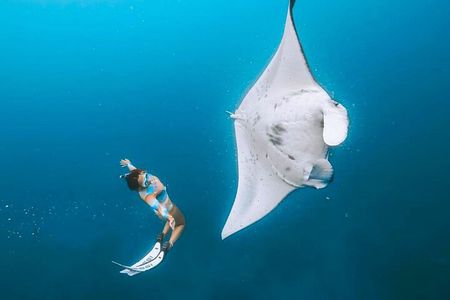 Manta Point Snorkeling & West Nusa Penida Island Day Tour