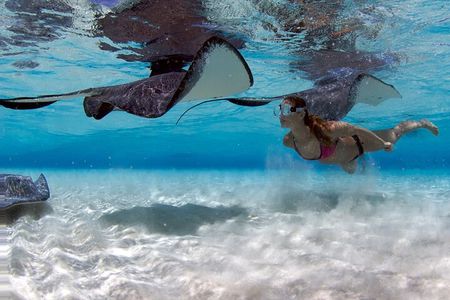 Cayman 3 in 1 Combo Adventure Stingray City Reef Snorkeling