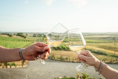 Winery tour and wine tasting in Maremma - Grosseto
