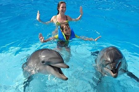 Photo Session with Dolphins Unforgettable And Transfer - Hurghada