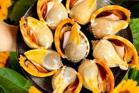 Hanoi Michelin Selected Street Food Walking Tour