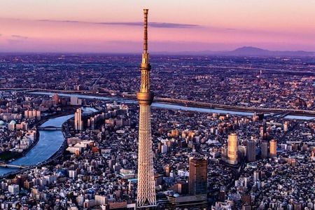 From Tokyo: Full Day Tokyo Private City Tour