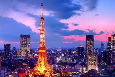 From Tokyo: Full Day Tokyo Private City Tour