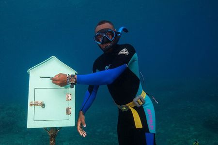 Lagoon Bliss Cultural Village and Hideaway Snorkeling Escape
