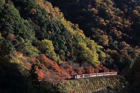 Arashiyama Walking Tour with Optional Sagano Romantic Train Ride