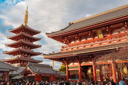 Tokyo: Private Walking Tour with a Local Guide
