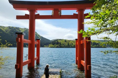 Private Hakone Tour from Tokyo