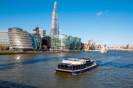 Easy Access Tower Bridge and Engine Room & Scenic Thames Cruise