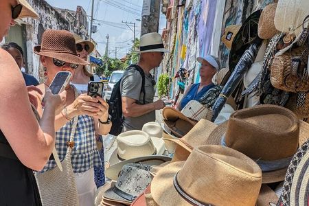 Cartagena Private 3 hour walking tour
