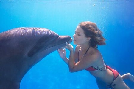 The only Natural Space Dolphin Encounter in Cabo Optional Pickup!