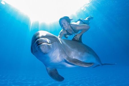 The only Natural Space Dolphin Encounter in Cabo Optional Pickup!