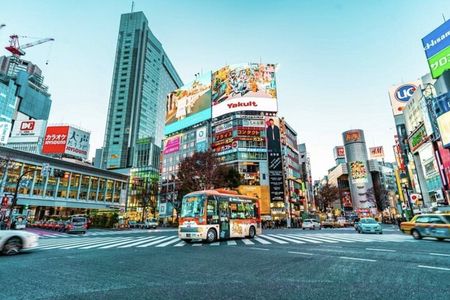 Tokyo Private Guided Tour with Hotel Pickup and Drop off