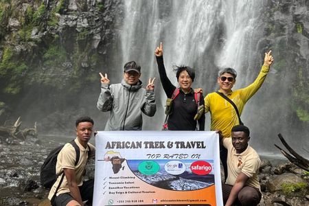 Materuni Waterfalls, coffee tour & Chemka Hot Springs From Arusha