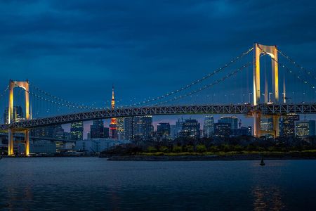 Tokyo Highlights Private Full Day City Tour With English Guide