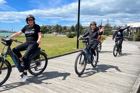 Napier: Shore Excursion Cycle Winery Tour - Half Day, self-guided