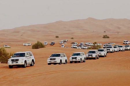 Dubai: Half-Day Desert Safari ,Camels & Sunset 