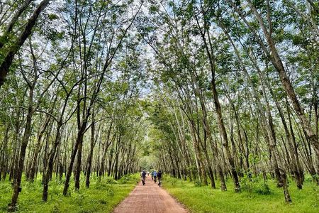 Ho Chi Minh: Cycling and the Legendary Cu Chi Tunnels discovery