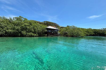 Roatan East Side Mangrove Tunnels and Snorkel Adventure
