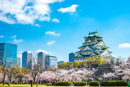 Osaka full day Private Customizable Tour(guide optional)