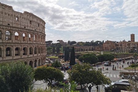 ROME:Colosseum, forum & palatin hill guided tour - private/group