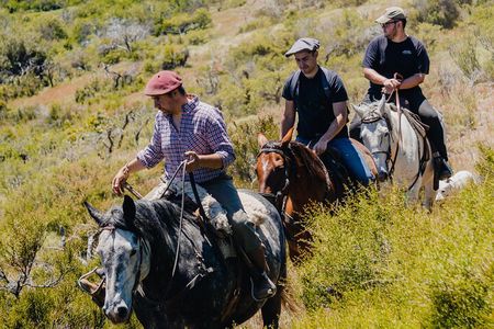 Aluminé : Day Horseback Tour with Traditional Roast