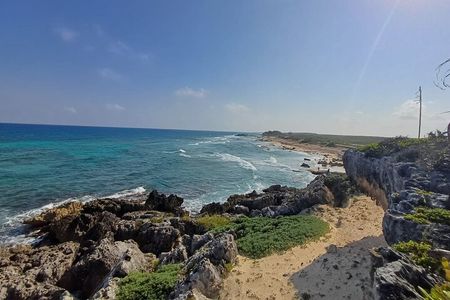 Private Mayan Ruins Tour with Cenote/caves and Mexican Picnic