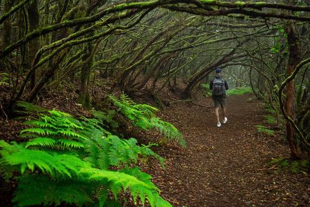 Tenerife Wonder Walk