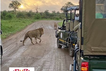 All Inclusive 2 Day Kruger Safari from Nelspruit