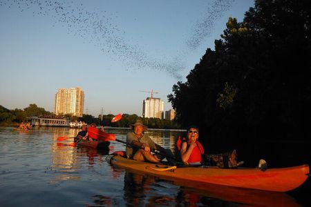 Evening Bat Watching Kayak Tour