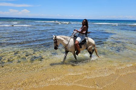 Roatan Horseback Ride and Beach Break Combo